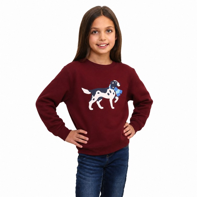 Main image of Ol' Roy Kids Sweatshirt image