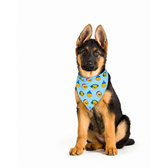 Main image of Holiday Sparky Pet Bandana image