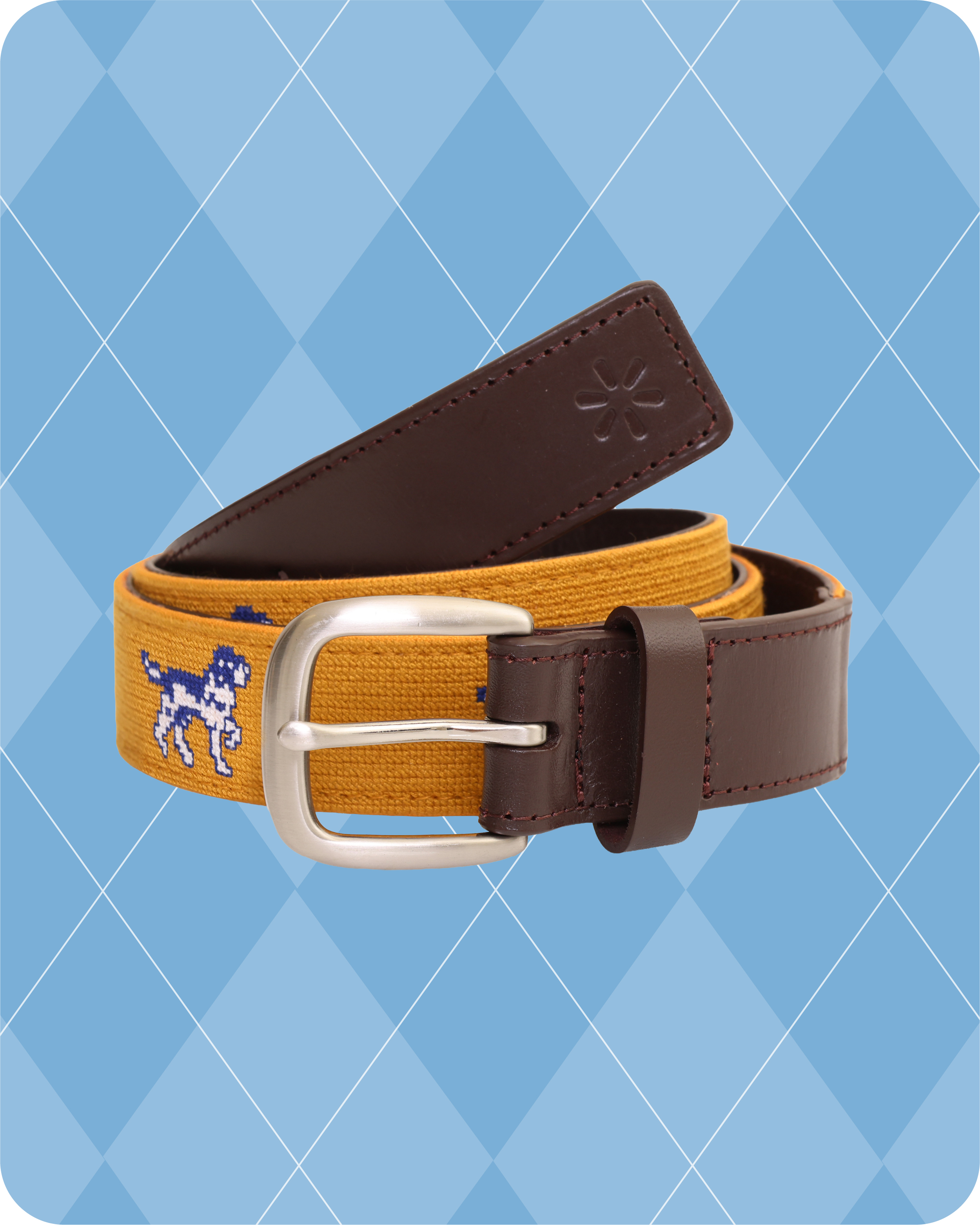 Ol' Roy Woven Belt
